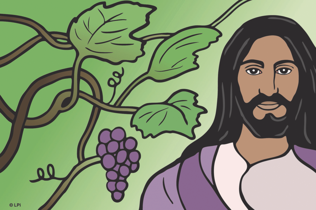 I am the Vine you are the Branches